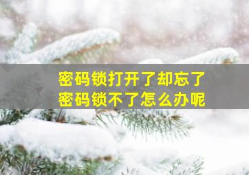 密码锁打开了却忘了密码锁不了怎么办呢