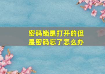 密码锁是打开的但是密码忘了怎么办