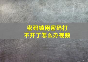 密码锁用密码打不开了怎么办视频