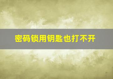 密码锁用钥匙也打不开