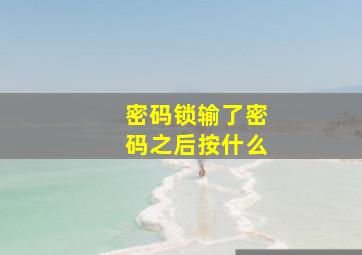 密码锁输了密码之后按什么