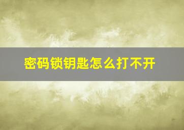 密码锁钥匙怎么打不开