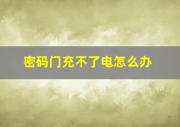 密码门充不了电怎么办