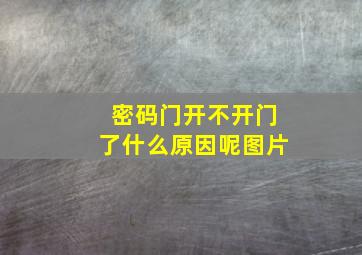 密码门开不开门了什么原因呢图片