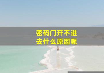 密码门开不进去什么原因呢