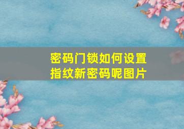 密码门锁如何设置指纹新密码呢图片