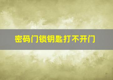 密码门锁钥匙打不开门