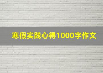 寒假实践心得1000字作文