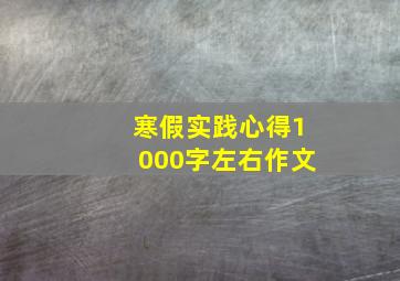 寒假实践心得1000字左右作文