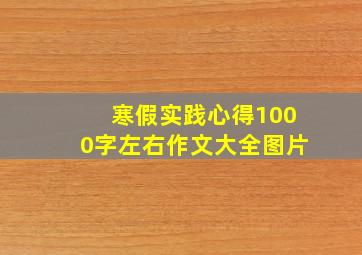 寒假实践心得1000字左右作文大全图片