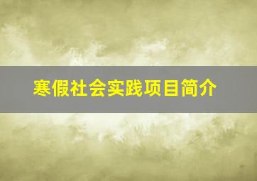 寒假社会实践项目简介