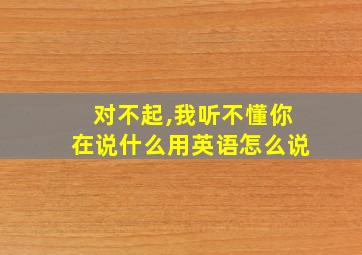 对不起,我听不懂你在说什么用英语怎么说