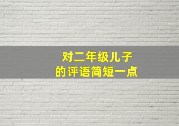 对二年级儿子的评语简短一点