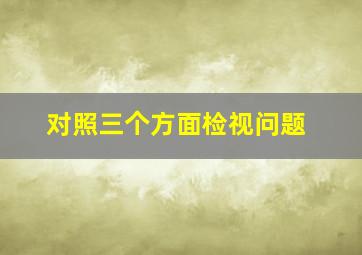 对照三个方面检视问题