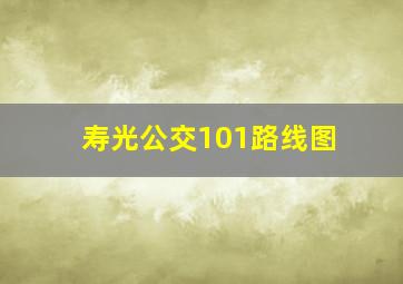 寿光公交101路线图