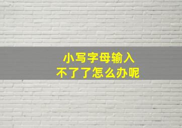 小写字母输入不了了怎么办呢