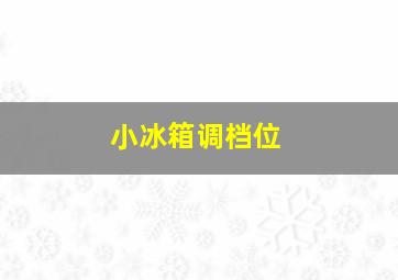 小冰箱调档位