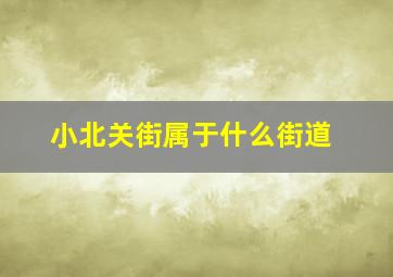 小北关街属于什么街道