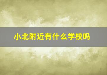 小北附近有什么学校吗