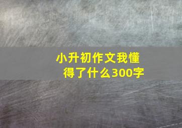 小升初作文我懂得了什么300字