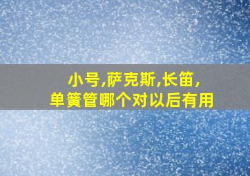 小号,萨克斯,长笛,单簧管哪个对以后有用