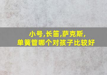 小号,长笛,萨克斯,单簧管哪个对孩子比较好