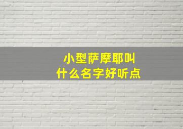 小型萨摩耶叫什么名字好听点