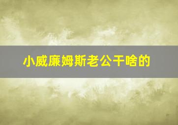 小威廉姆斯老公干啥的