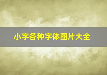 小字各种字体图片大全