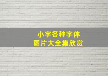 小字各种字体图片大全集欣赏