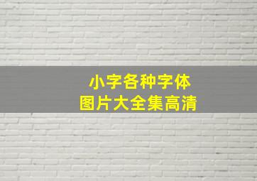 小字各种字体图片大全集高清