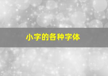 小字的各种字体