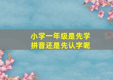 小学一年级是先学拼音还是先认字呢