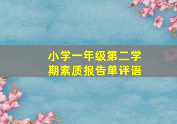 小学一年级第二学期素质报告单评语