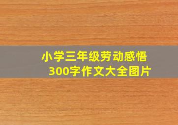 小学三年级劳动感悟300字作文大全图片