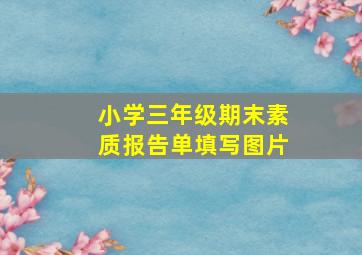 小学三年级期末素质报告单填写图片