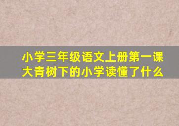 小学三年级语文上册第一课大青树下的小学读懂了什么