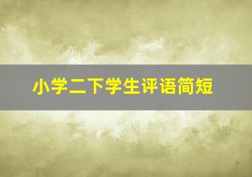 小学二下学生评语简短