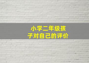 小学二年级孩子对自己的评价