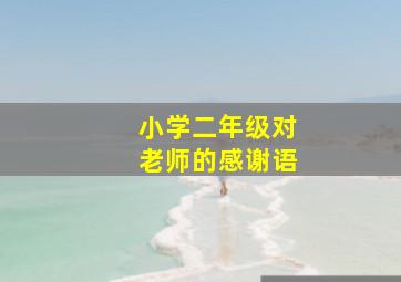 小学二年级对老师的感谢语