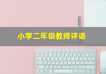 小学二年级教师评语