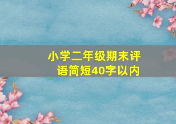 小学二年级期末评语简短40字以内