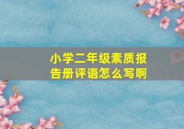 小学二年级素质报告册评语怎么写啊