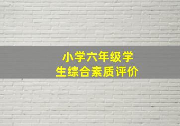 小学六年级学生综合素质评价