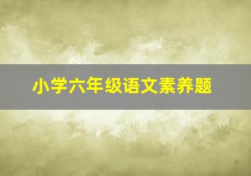 小学六年级语文素养题