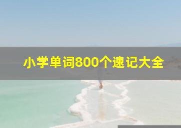 小学单词800个速记大全