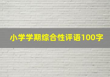 小学学期综合性评语100字