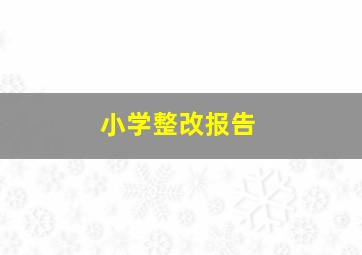 小学整改报告