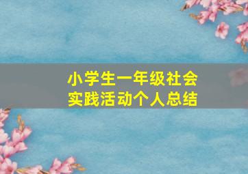 小学生一年级社会实践活动个人总结