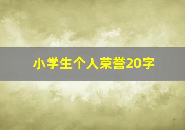 小学生个人荣誉20字